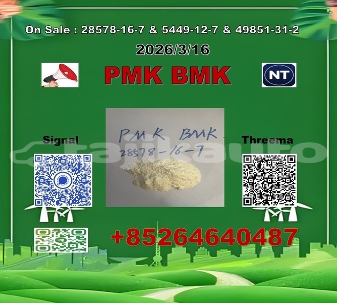 Big with watermark 2026 03 18 111157