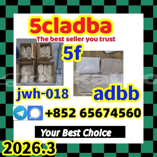 Big with watermark 5cladbaaaaaa %e5%89%af%e6%9c%ac