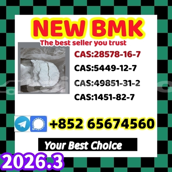 Big with watermark newbm %e5%89%af%e6%9c%ac