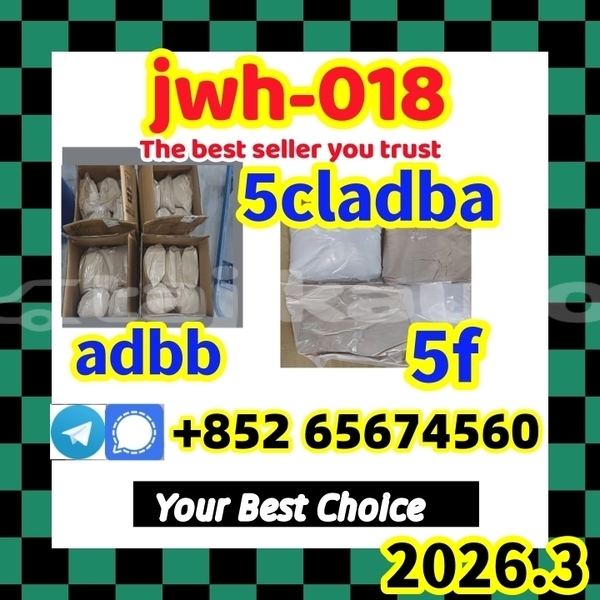 Big with watermark jwh018rfghrdthry %e5%89%af%e6%9c%ac