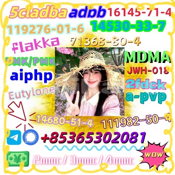 Big with watermark 1 17 