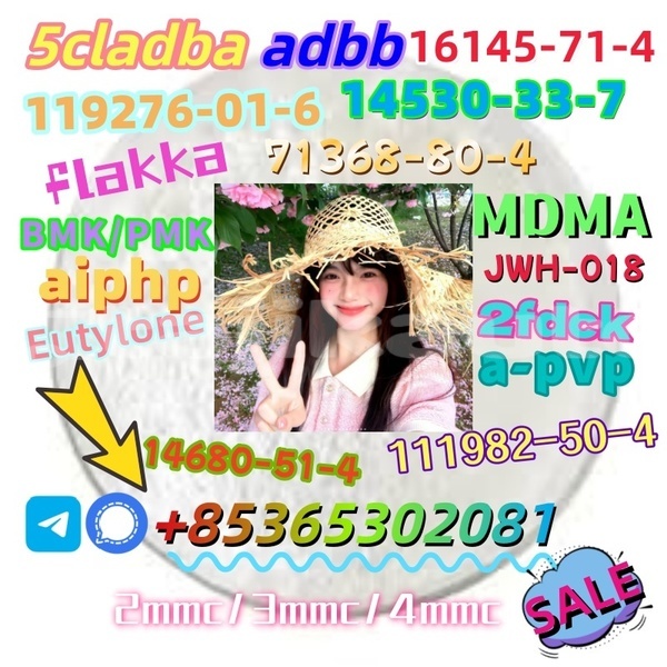 Big with watermark 1 9 