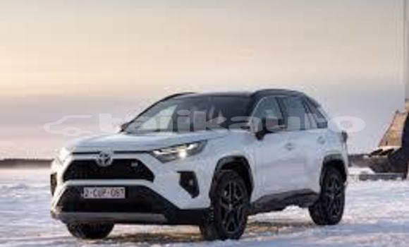 Buy Used Alfa Romeo 1900 Silver Car in Murgob in Gorno-Badakhshan