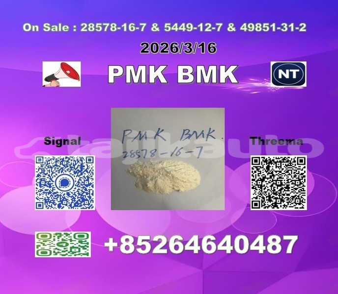 Big with watermark 2026 03 18 110256 %e5%89%af%e6%9c%ac %e5%89%af%e6%9c%ac