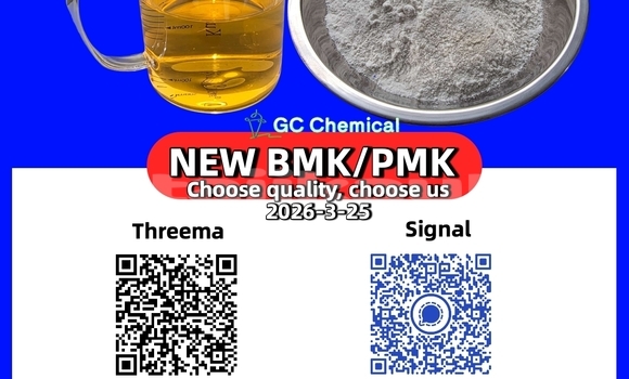 Medium with watermark 15