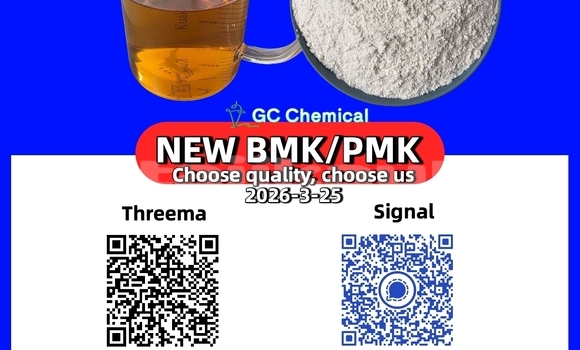 Medium with watermark 16