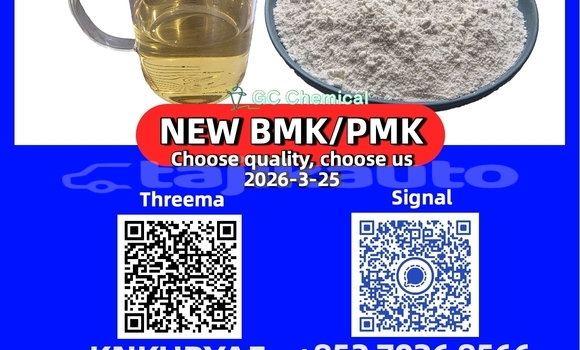 Medium with watermark 4