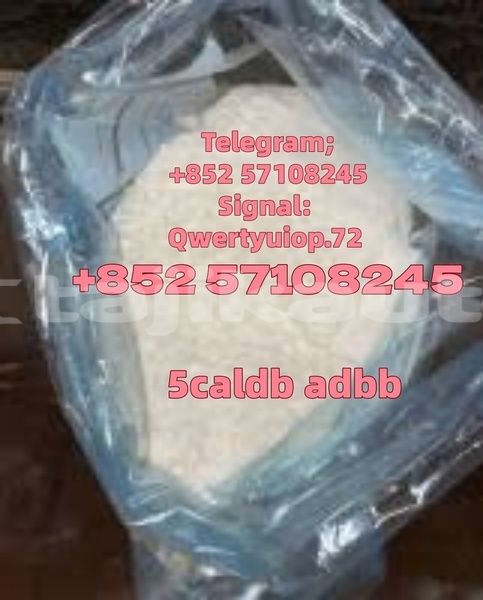 Big with watermark adler trumpf junior khatlon vakhsh 11597