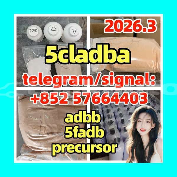 Big with watermark 5c4