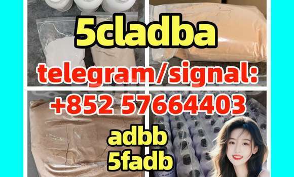 Medium with watermark 5c4