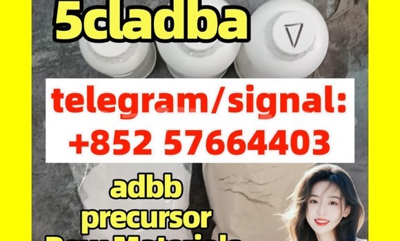 Medium with watermark 5cc2