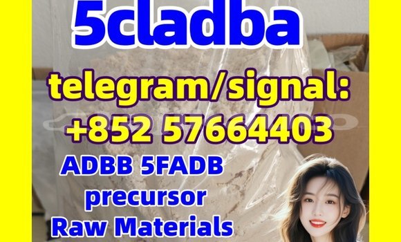 Medium with watermark 52