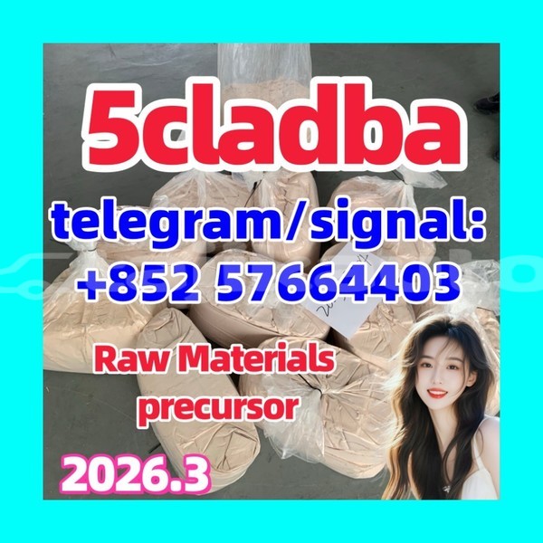 Big with watermark 554