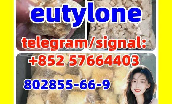 Medium with watermark e2