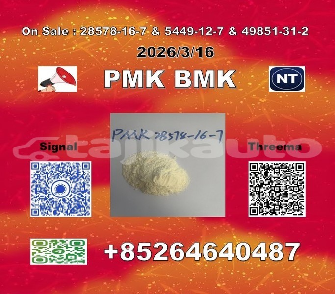 Big with watermark 2026 03 18 110412