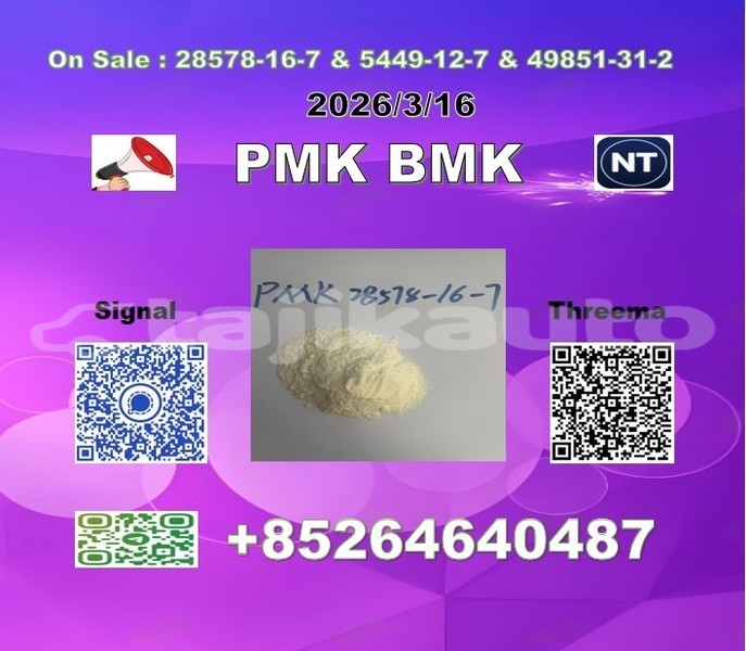 Big with watermark 2026 03 18 110207 %e5%89%af%e6%9c%ac 3