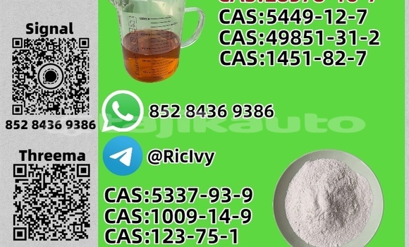 Buy New Aurus Senat Green Car in Ayni in Sughd