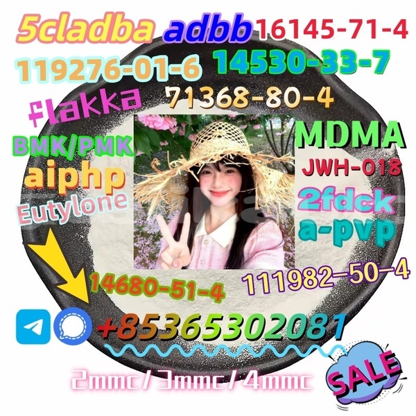 Big with watermark 1 3