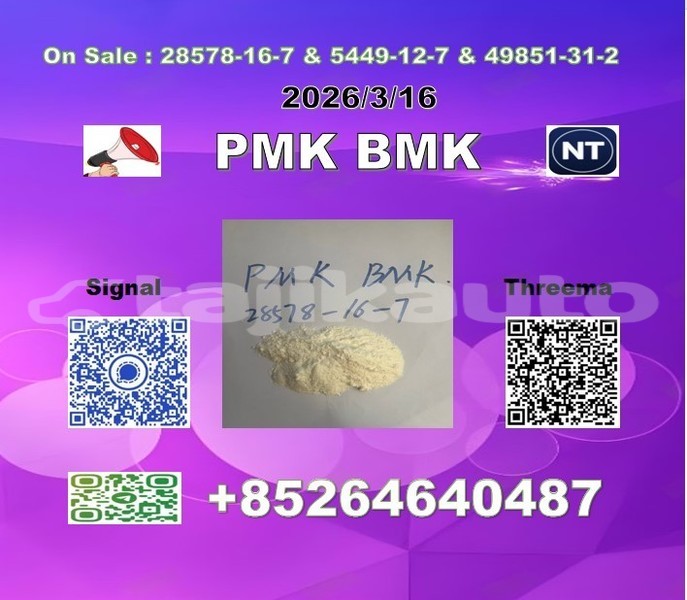 Big with watermark 2026 03 18 110152