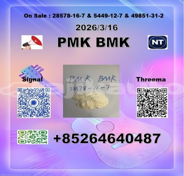Big with watermark 2026 03 18 105231
