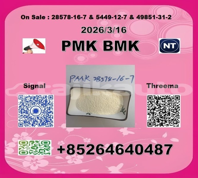 Big with watermark 2026 03 18 105420