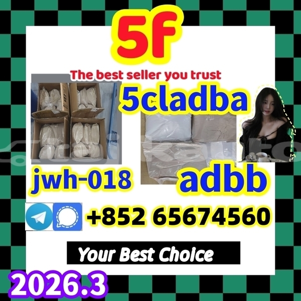 Big with watermark 5fdsfgergethgrthb %e5%89%af%e6%9c%ac