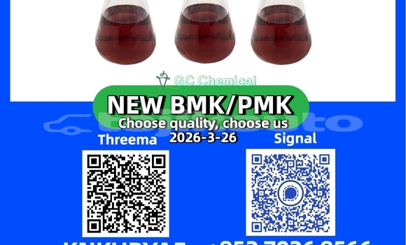 Buy New Adler Diplomat Black Car in Buston in Sughd