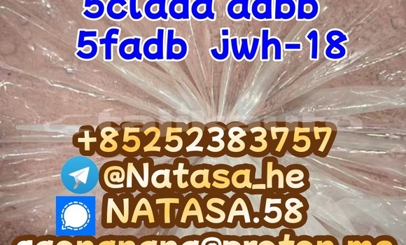 Medium with watermark 9