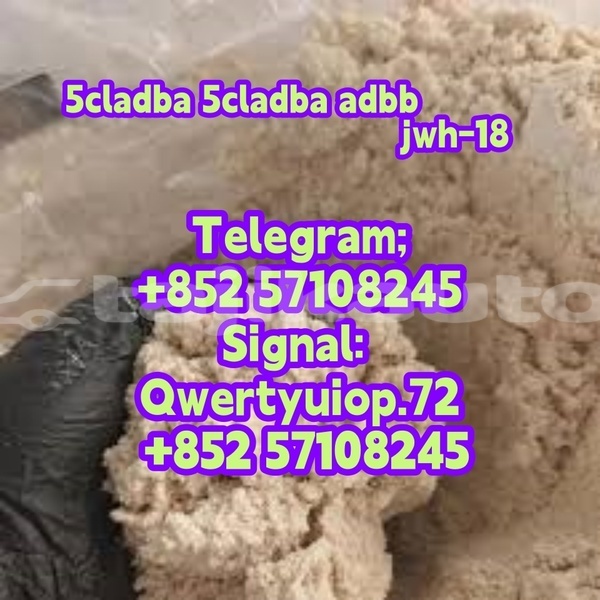 Big with watermark 586412