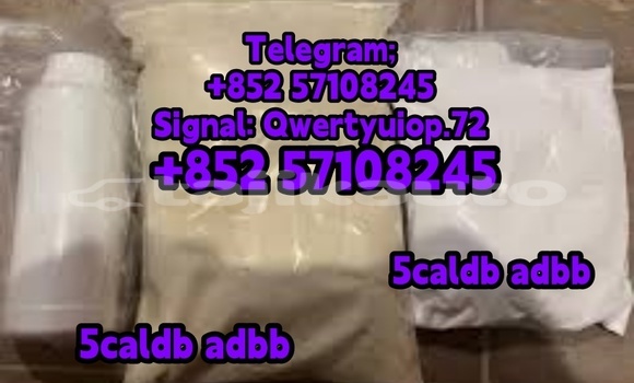 Medium with watermark 666633