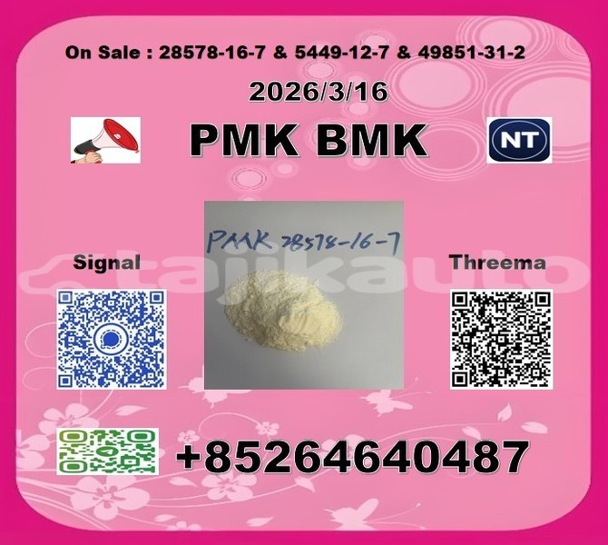 Big with watermark 2026 03 18 105436 %e5%89%af%e6%9c%ac