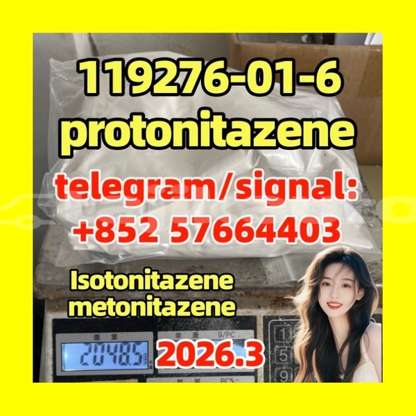 Big with watermark pro2