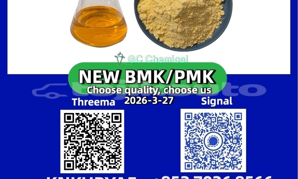 Buy New Alpina B5 Brown Car in Dangara in Khatlon