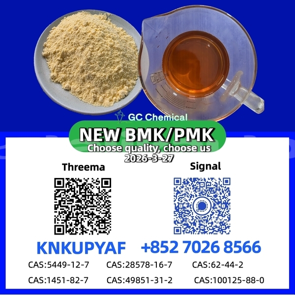 Big with watermark adler diplomat sughd asht 12006