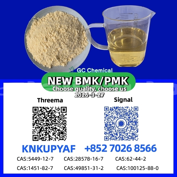 Big with watermark brilliance h530 sughd ayni 12007