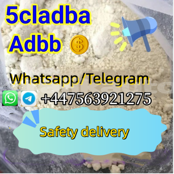 Big with watermark alpina b12 sughd buston 12008