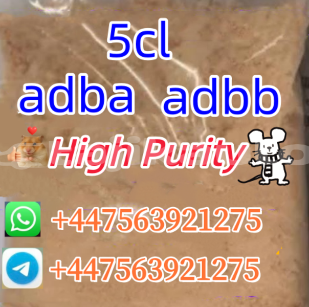 Big with watermark alpine a610 khatlon dangara 12009