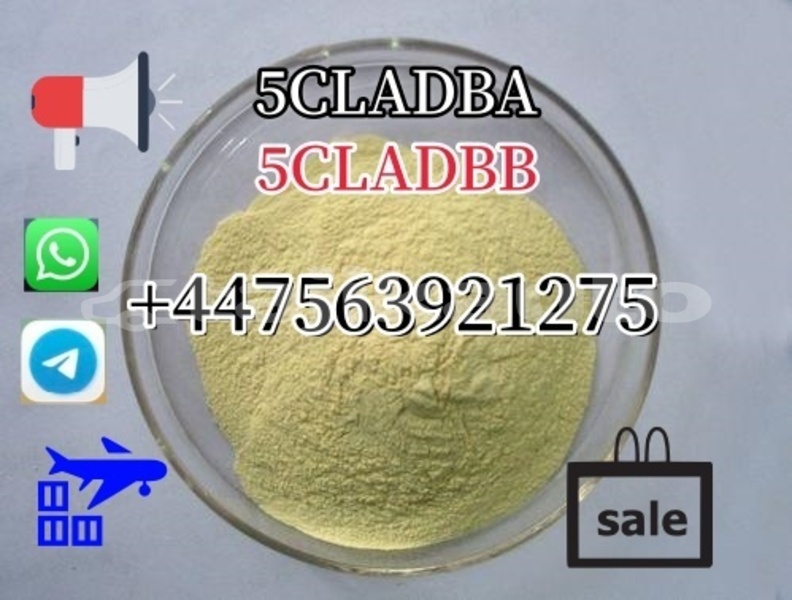 Big with watermark avtokam 2163 khatlon dangara 12012