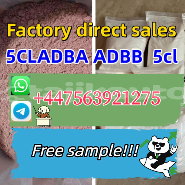 Big with watermark bedford cfs khatlon kumsangir 12015