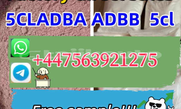 Buy New Bedford CFS Black Car in Kumsangir in Khatlon Buy New Bedford CFS Black Car in Kumsangir in Khatlon