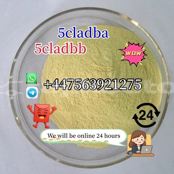 Big with watermark bedford cfs khatlon kumsangir 12015