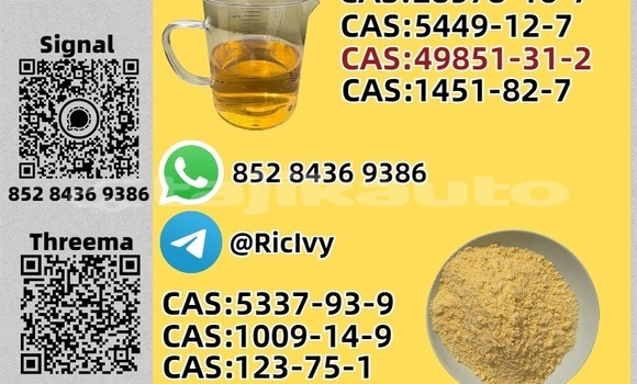 Buy Used Adler Trumpf Junior Brown Car in Chkalov in Sughd