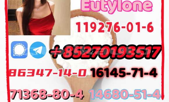 Medium with watermark 7 3 