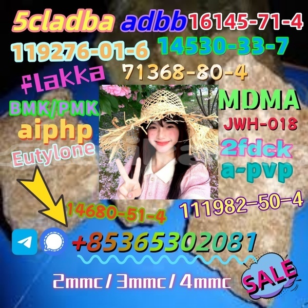 Big with watermark images 12