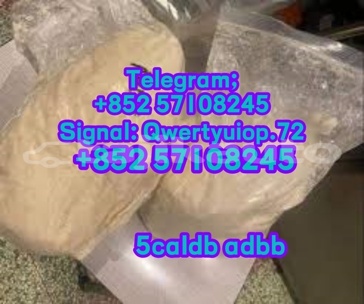 Big with watermark adler trumpf junior sughd asht 12040