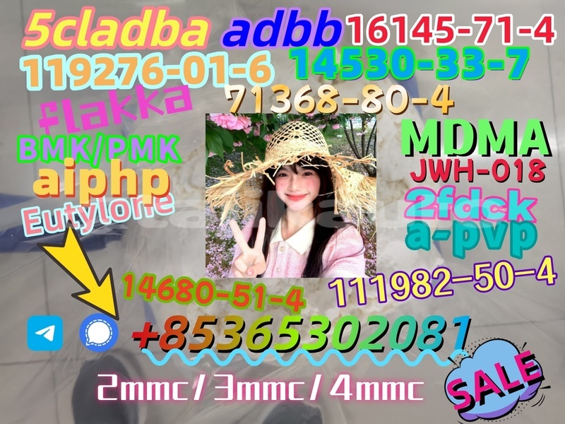 Big with watermark img 4547 20231018 085948 