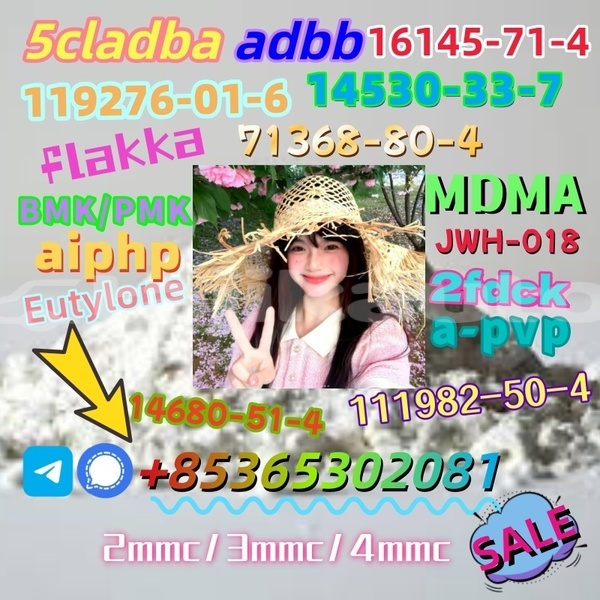 Big with watermark %e4%b8%8b%e8%bd%bd 1 