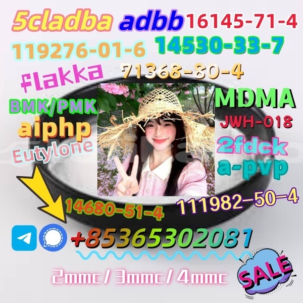 Big with watermark %e4%b8%8b%e8%bd%bd 4 