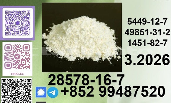 Medium with watermark p4