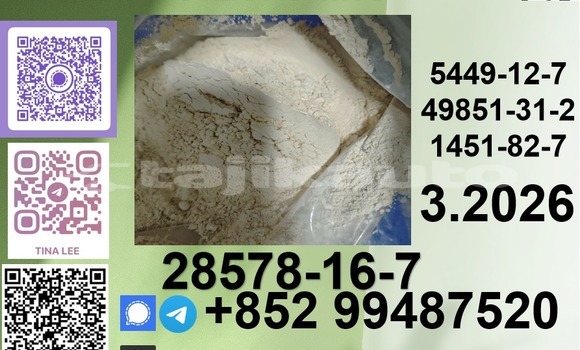 Medium with watermark p3